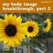 Podcast cover for My Body Image Breakthrough, Part 3 - Find Your Feisty Podcast, Episode 47